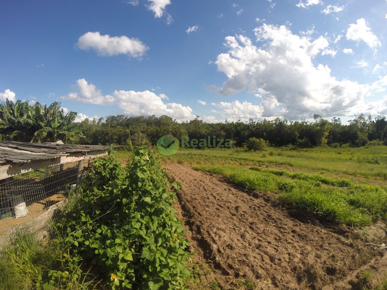 Fazenda à venda com 2 quartos, 60m² - Foto 21