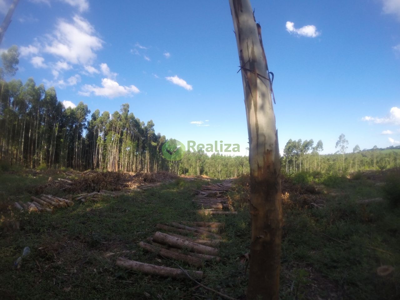 Fazenda à venda com 2 quartos, 60m² - Foto 17