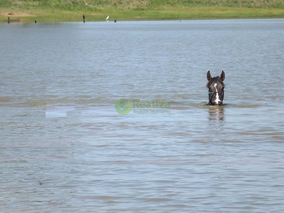 Fazenda para alugar com 4 quartos, 40000m² - Foto 9