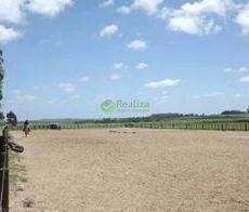 Fazenda para alugar com 4 quartos, 40000m² - Foto 8