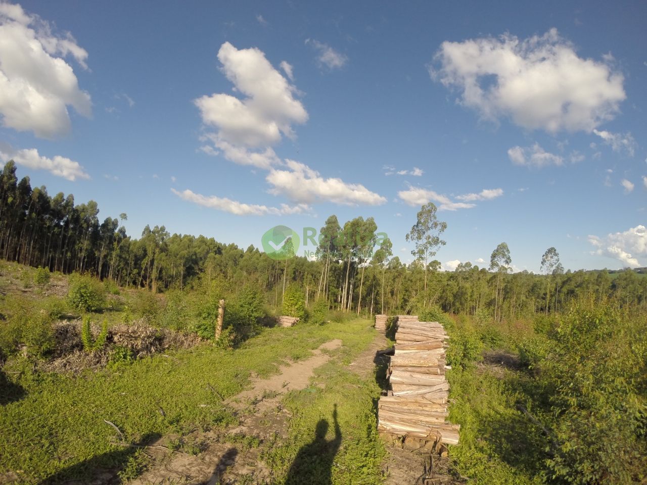 Chácara, 2 quartos, 60 m² - Foto 10