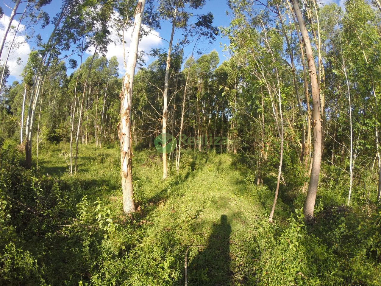 Fazenda à venda com 2 quartos, 60m² - Foto 16