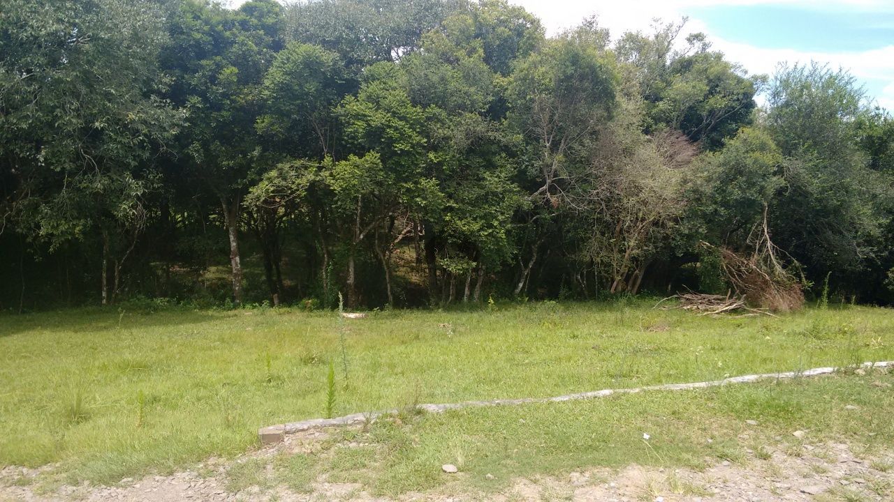 Fazenda à venda com 4 quartos, 30000m² - Foto 4