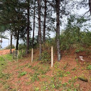 Sítio, 2 dormitórios, 2 vagas no bairro Zona Rural em Dom Pedro de Alcântara para Comprar