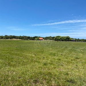 240 hectares em Palmares do Sul-RS
