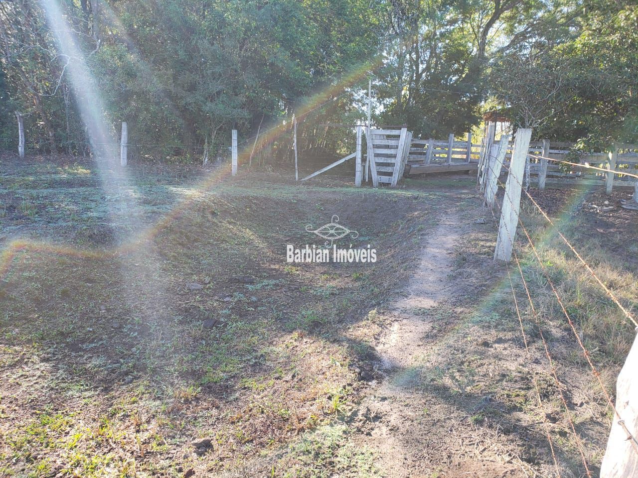 Fazenda à venda com 3 quartos, 200m² - Foto 19