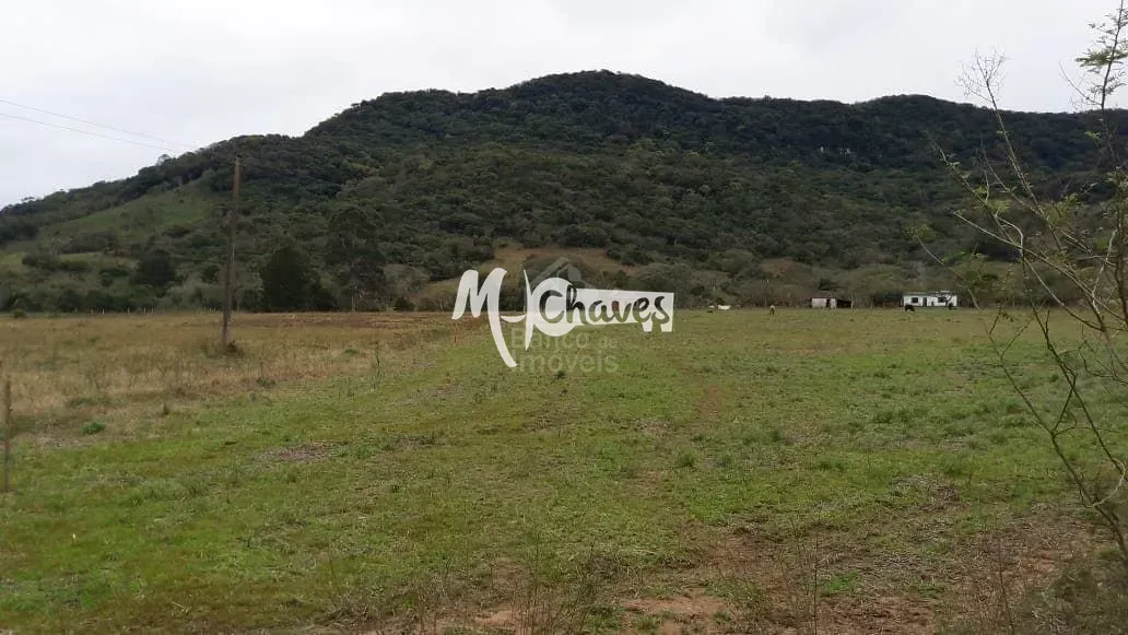 Sítio, 3 quartos, 5 hectares - Foto 9