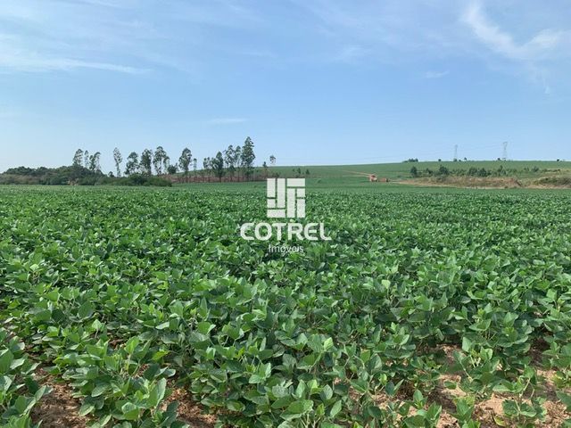 Campo com 94 hectares em São Pedro do Sul/RS