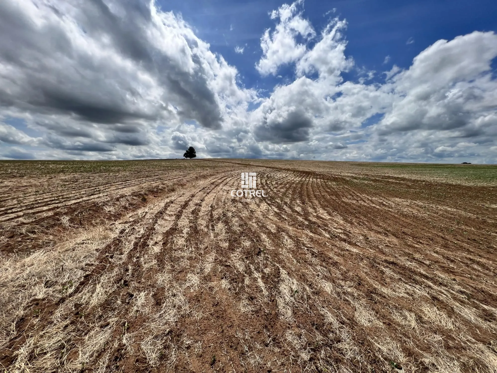 Campo para lavoura de soja em Tupanciretã/RS com 159 hectares