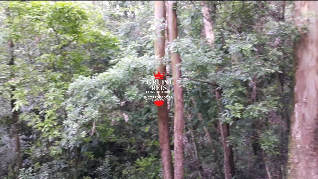 Terreno, 250 m² - Foto 11