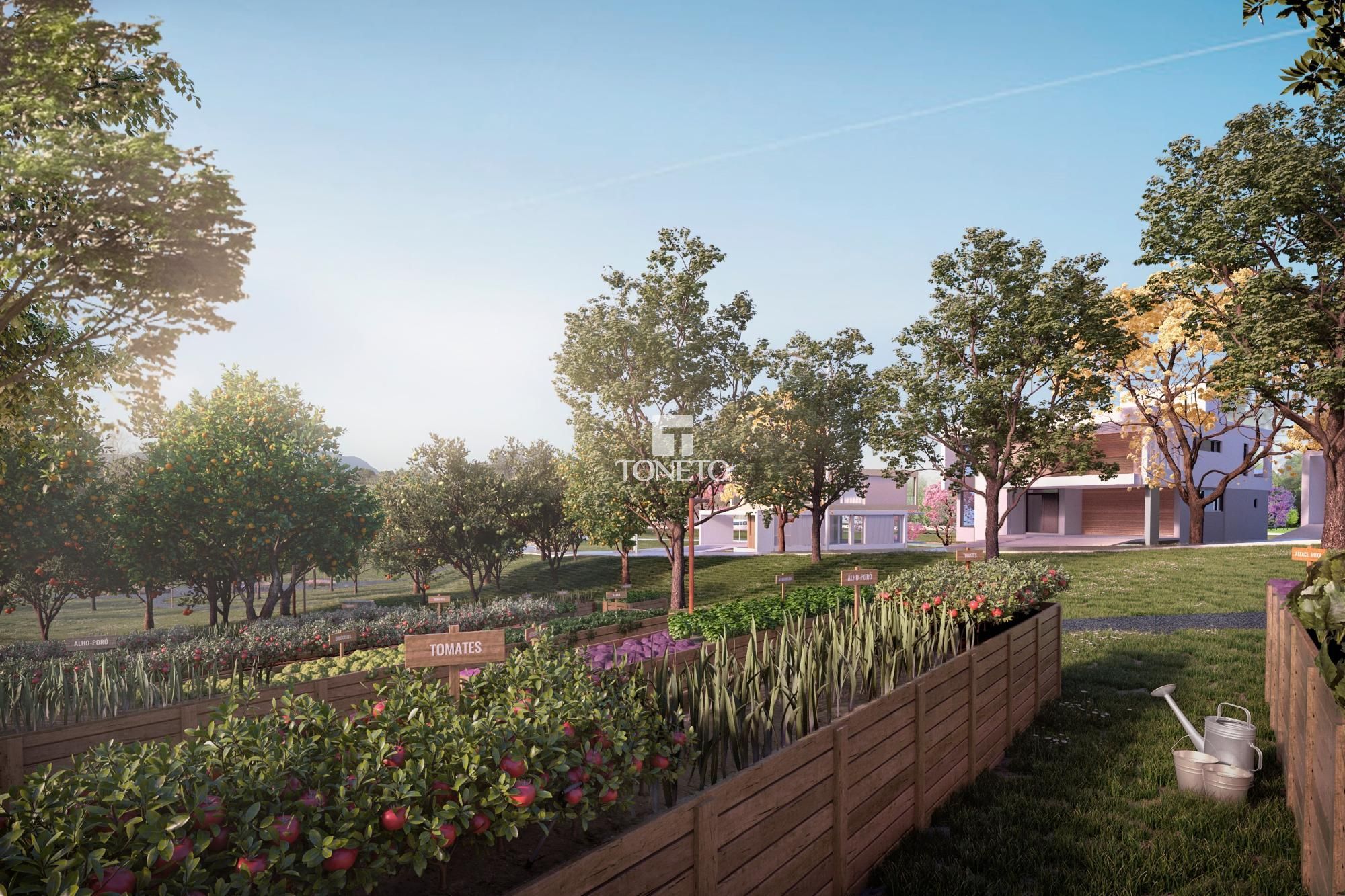 Terreno, 412 m² - Foto 9