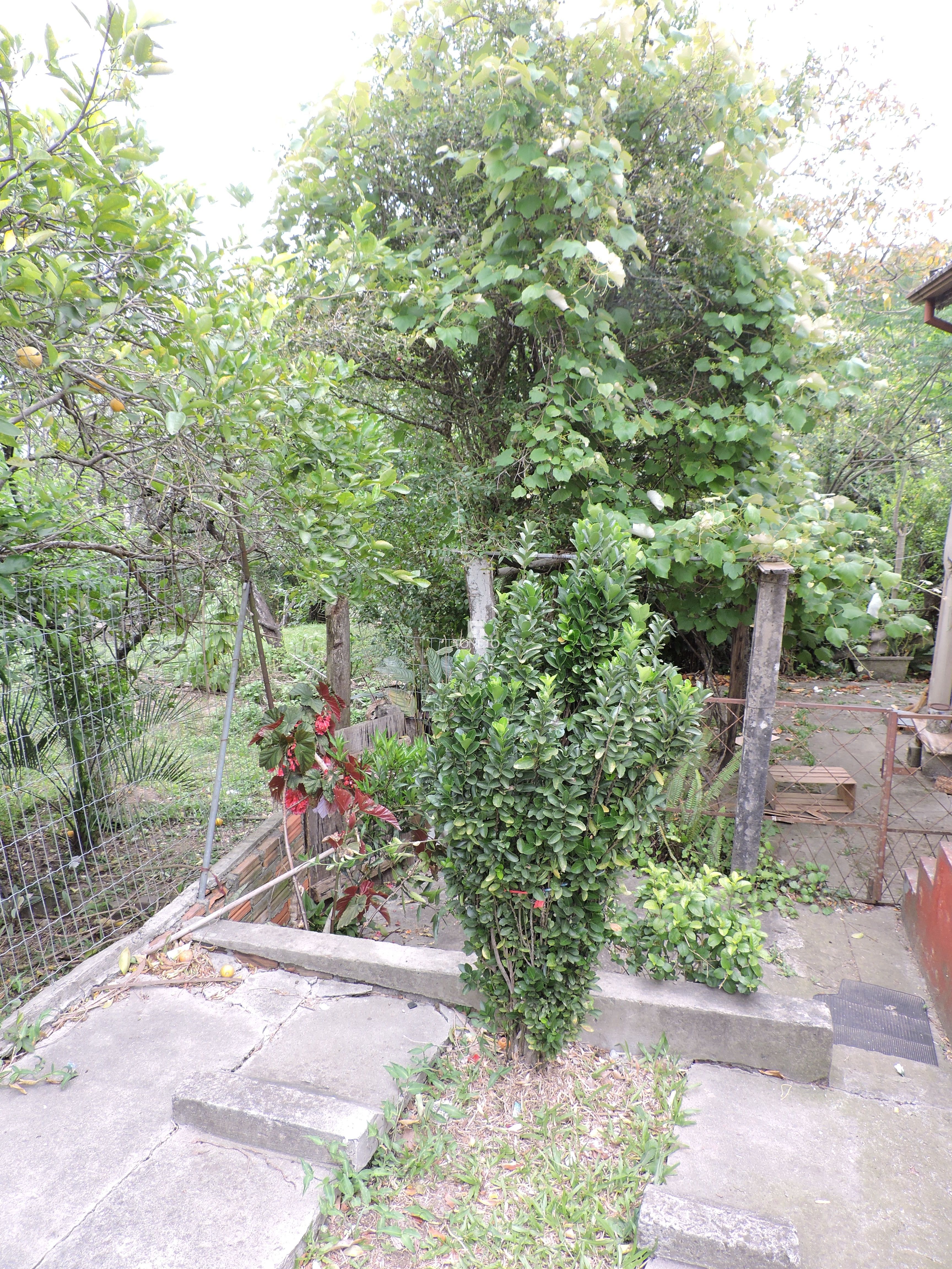 Terreno, 552 m² - Foto 3