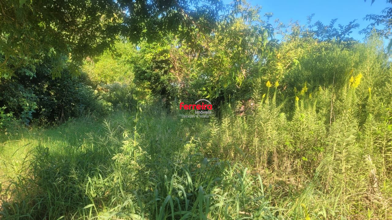Terreno, à venda, Vila Vista Alegre - Cachoeirinha — foto 5