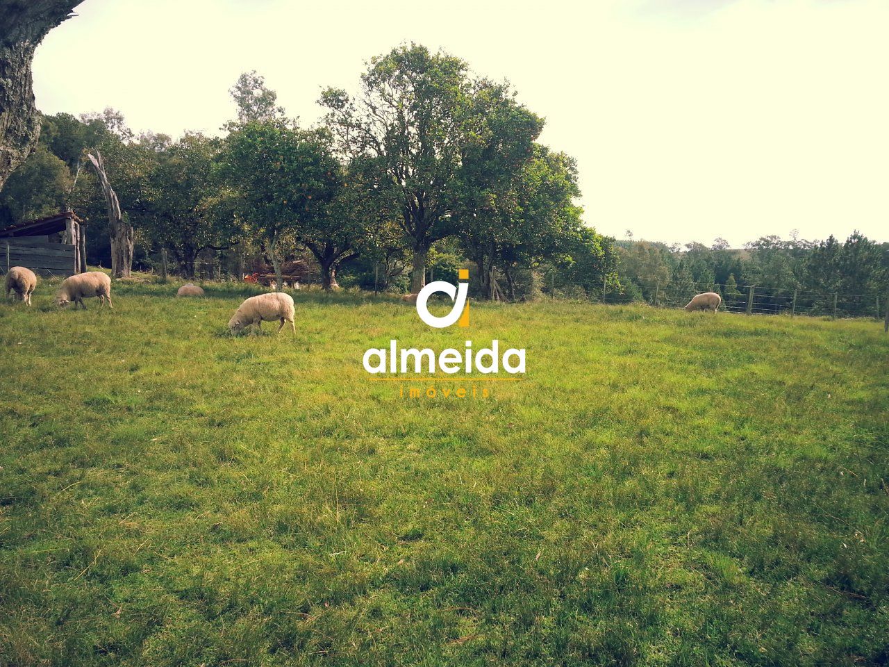 Fazenda à venda com 2 quartos, 300000000m² - Foto 24