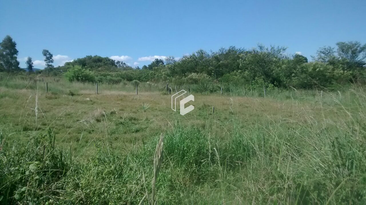 Terreno, 5933 m² - Foto 3