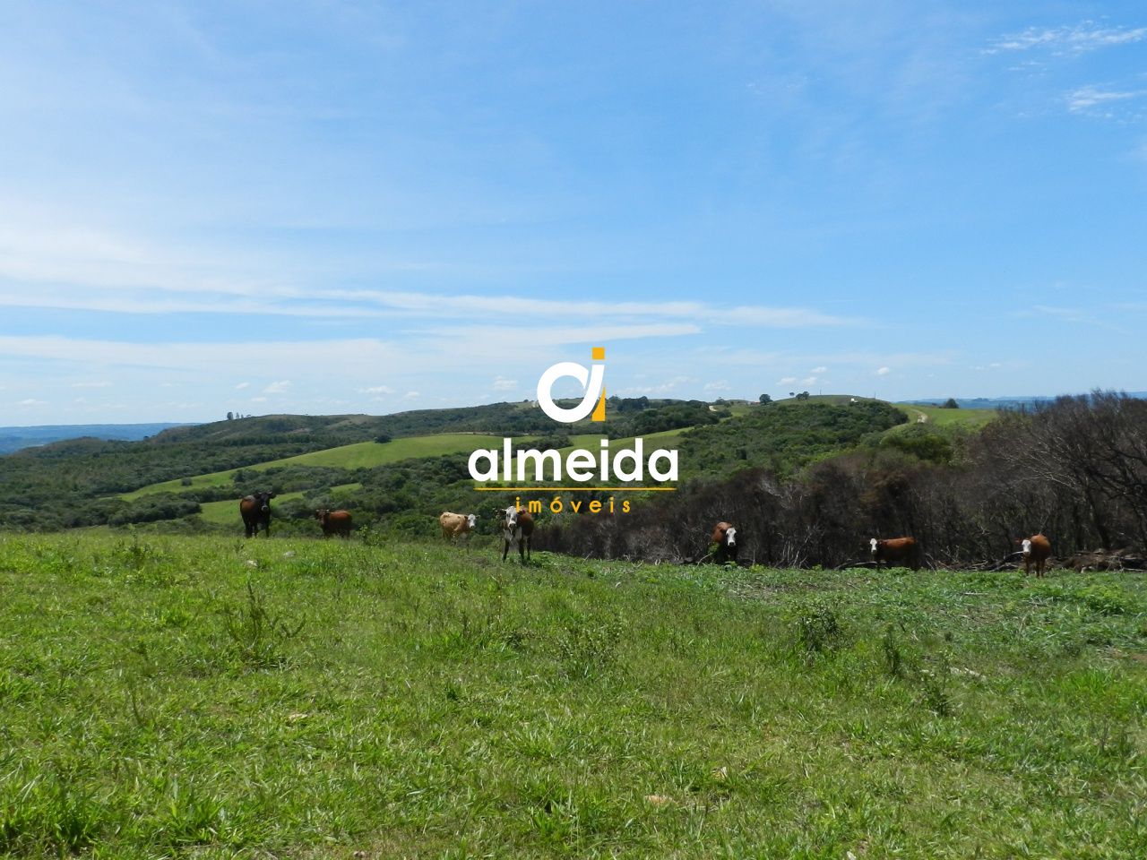 Loteamento e Condomínio, 5800000 hectares - Foto 46