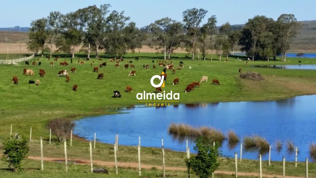 Loteamento e Condomínio, 1500 hectares - Foto 5