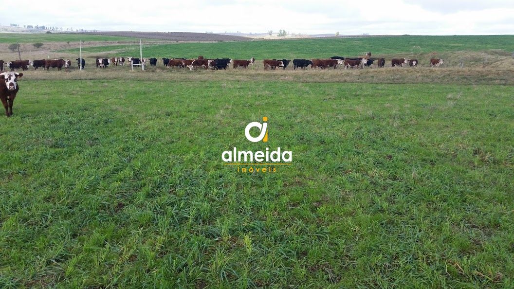 Loteamento e Condomínio, 1500 hectares - Foto 11