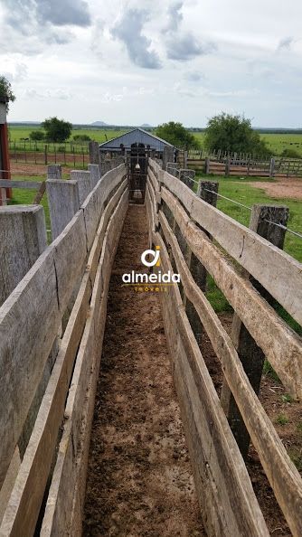 Loteamento e Condomínio, 1500 hectares - Foto 51