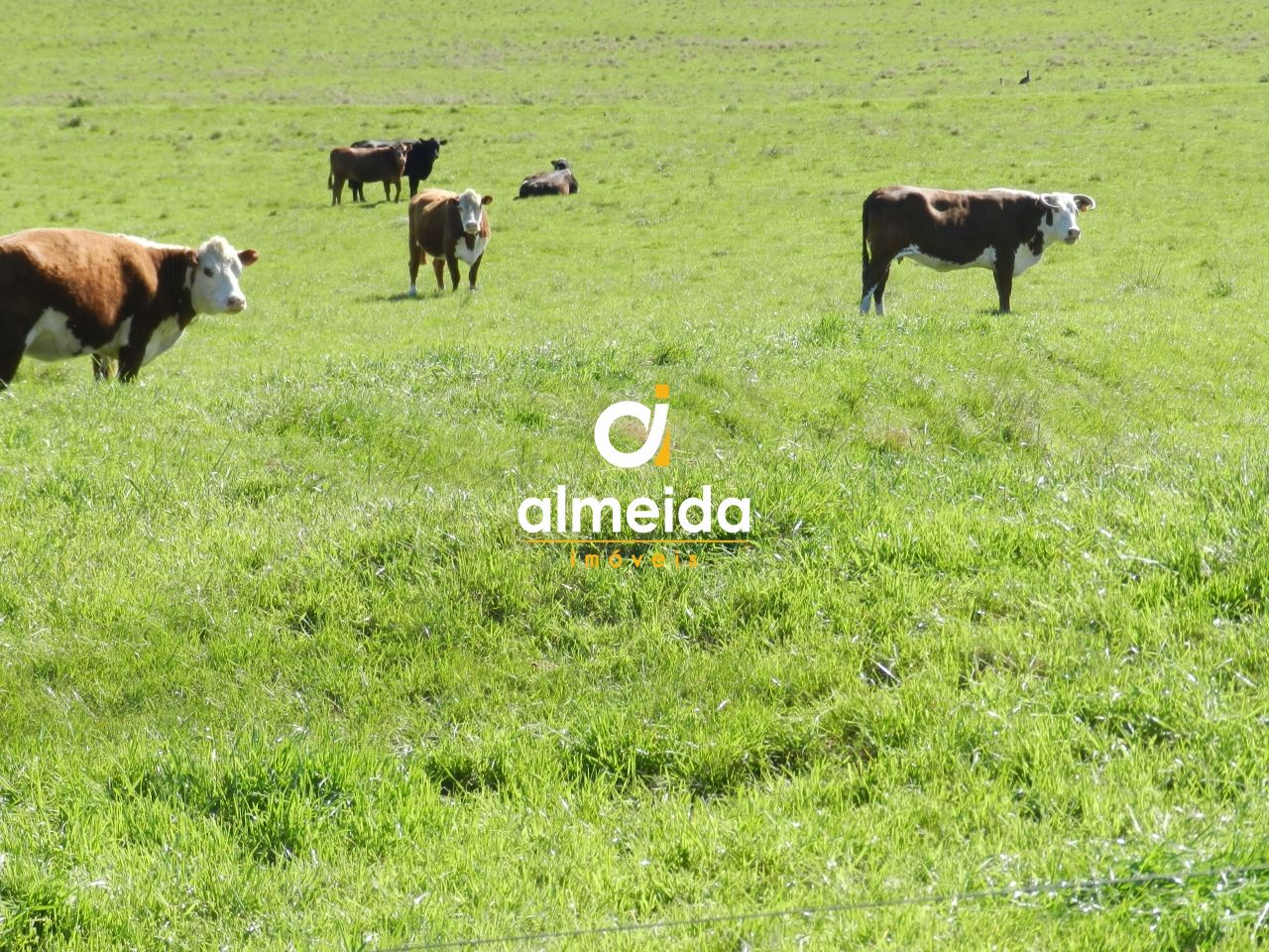 Loteamento e Condomínio, 1500 hectares - Foto 40