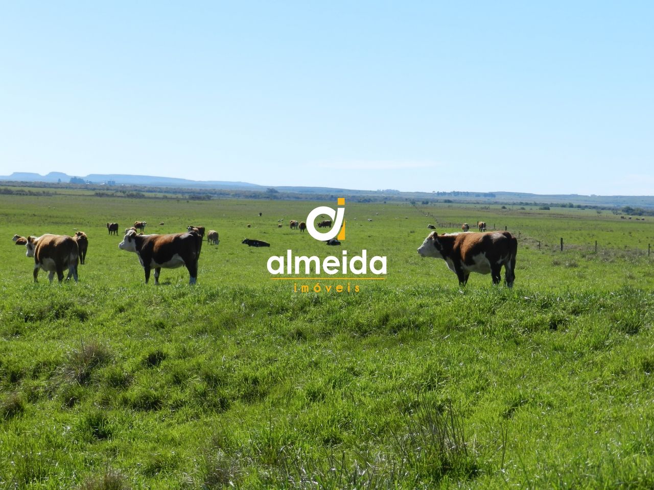 Loteamento e Condomínio, 1500 hectares - Foto 41