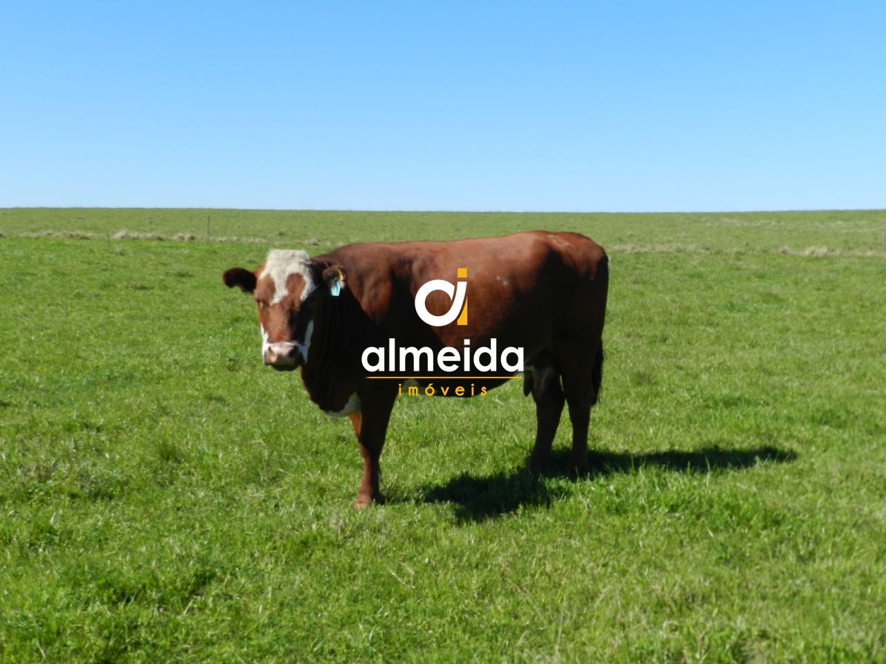 Loteamento e Condomínio, 1500 hectares - Foto 63