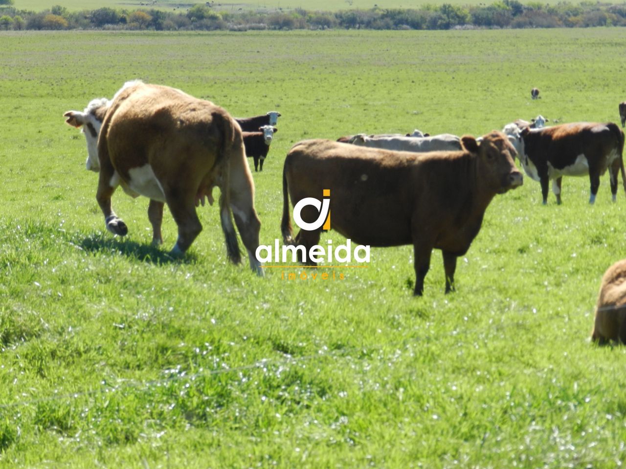 Loteamento e Condomínio, 1500 hectares - Foto 36