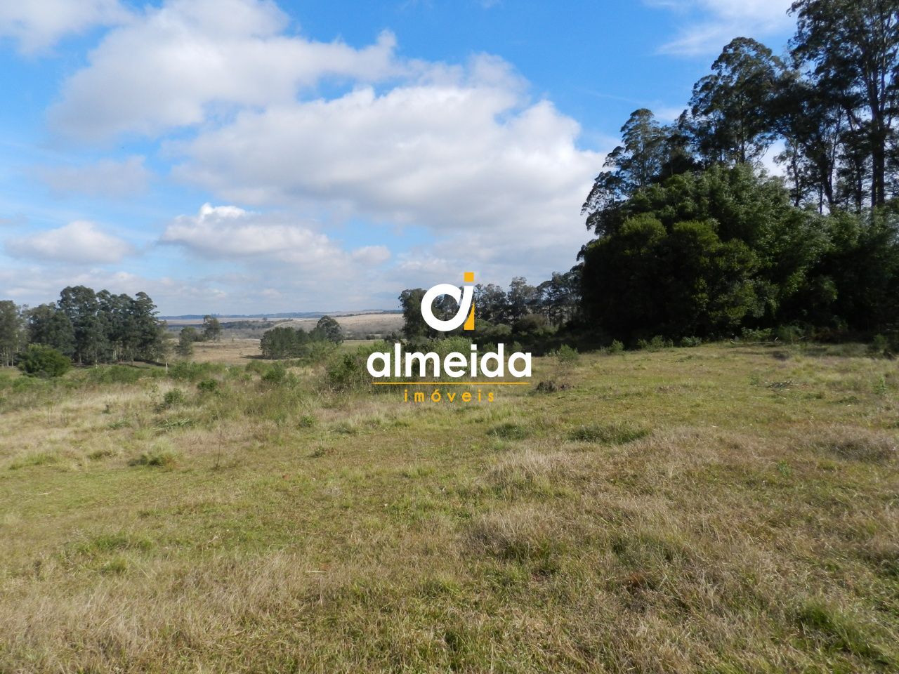 Fazenda à venda, 800000000m² - Foto 3