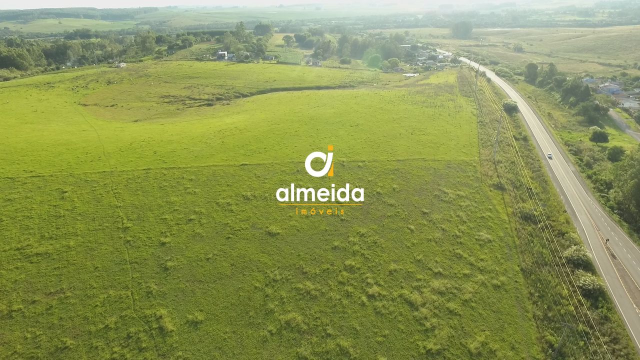 Terreno, 14 hectares - Foto 5