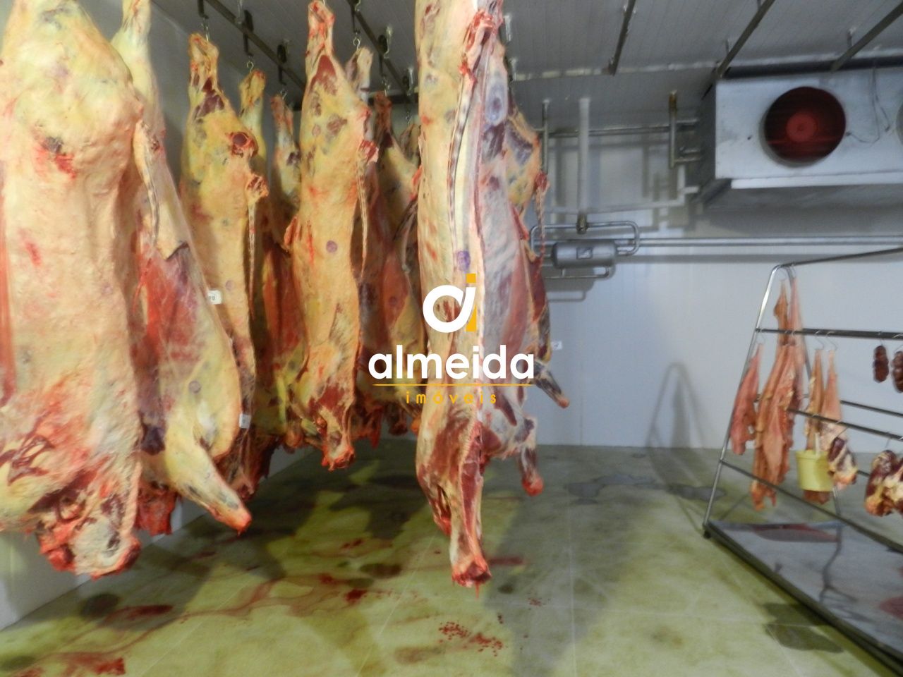 Prédio Inteiro, 140000 m² - Foto 20