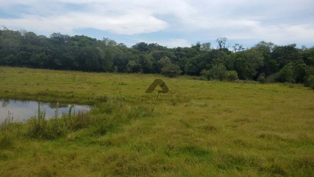 Fazenda à venda com 4 quartos, 30000m² - Foto 22