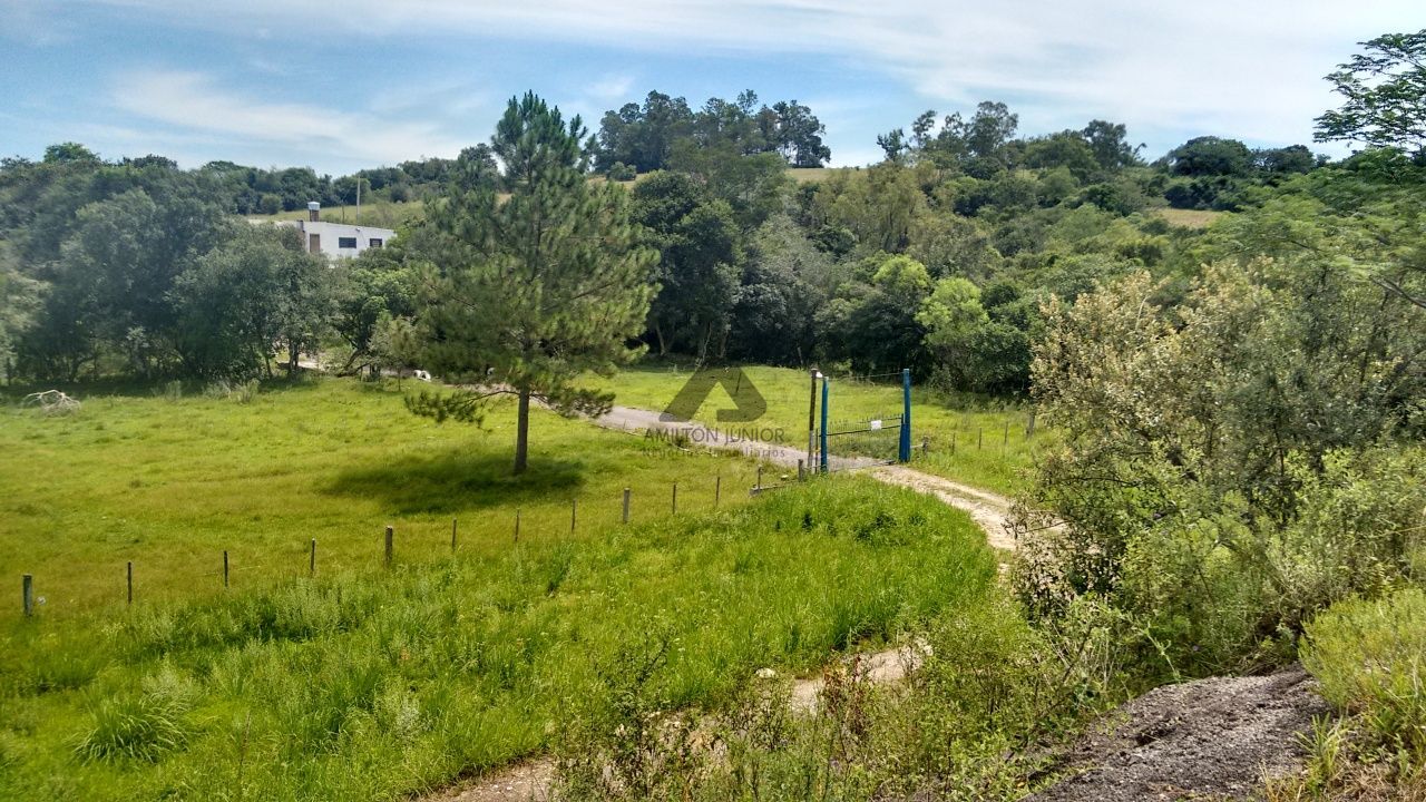 Fazenda à venda com 4 quartos, 30000m² - Foto 28