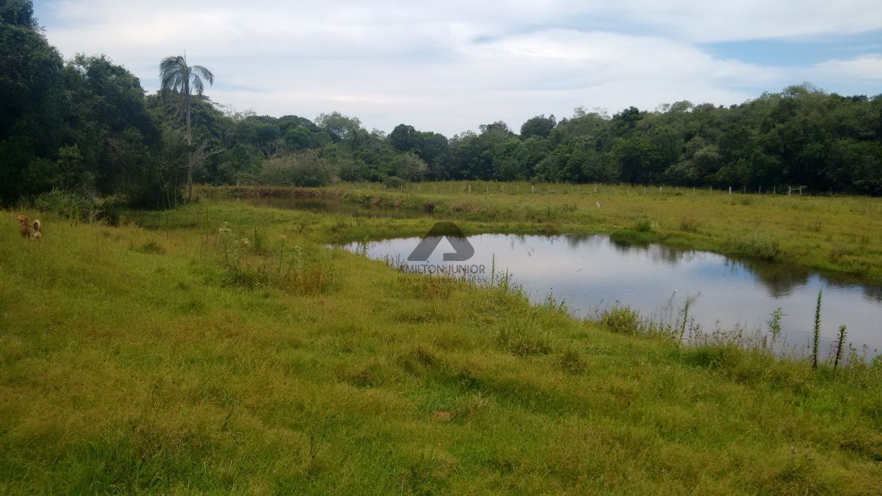 Fazenda à venda com 4 quartos, 30000m² - Foto 21