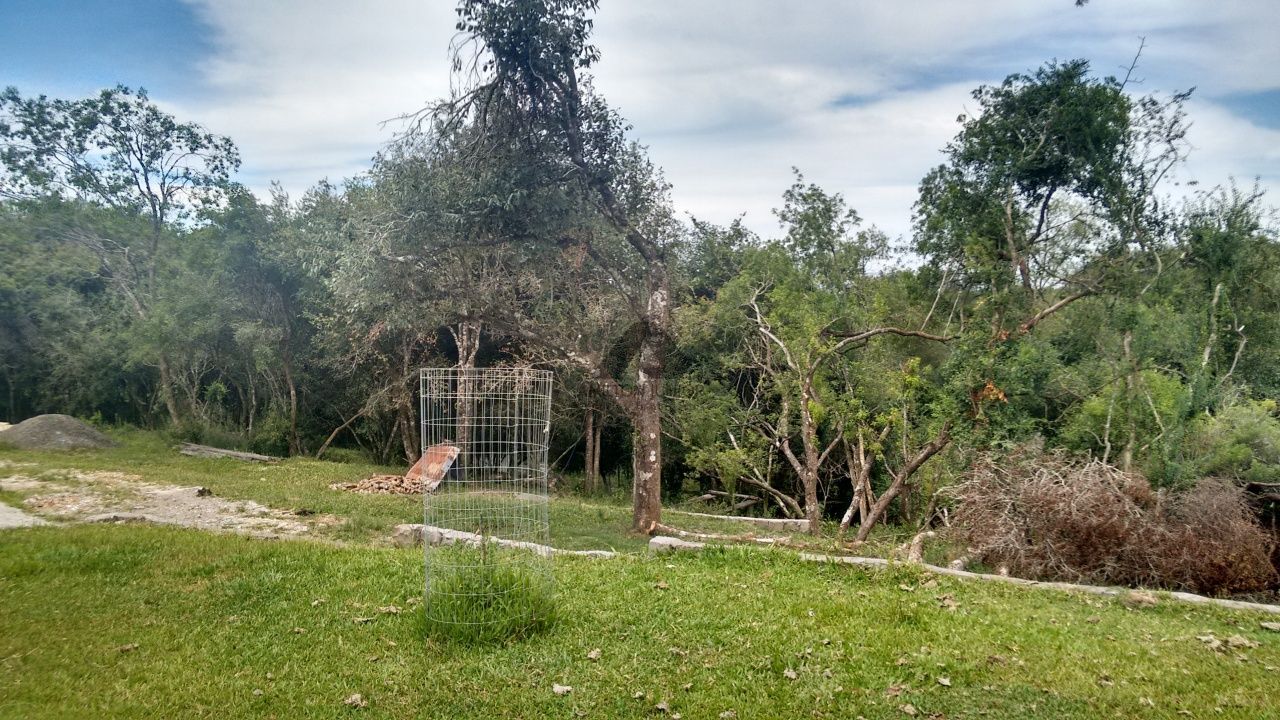 Fazenda à venda com 4 quartos, 30000m² - Foto 16