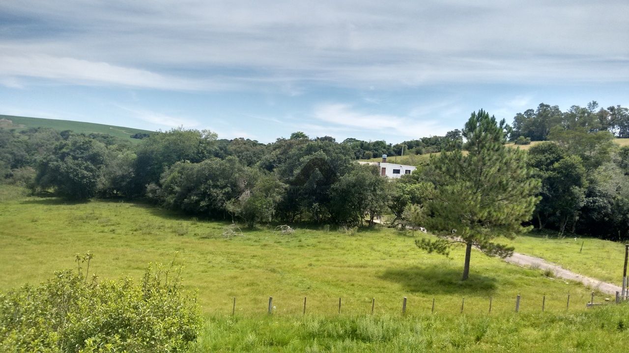 Fazenda à venda com 4 quartos, 30000m² - Foto 27