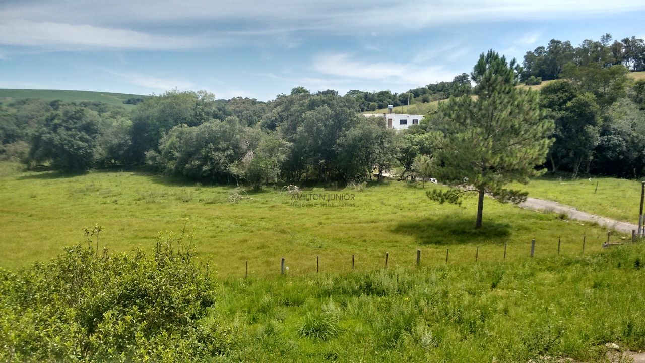 Fazenda à venda com 4 quartos, 30000m² - Foto 29