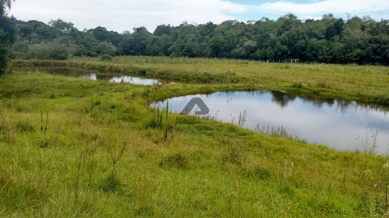 Fazenda à venda com 4 quartos, 30000m² - Foto 19