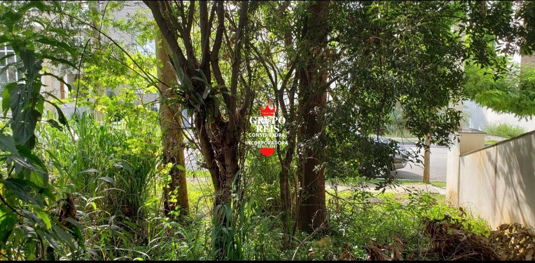 Terreno reserva nova cantareira 540m