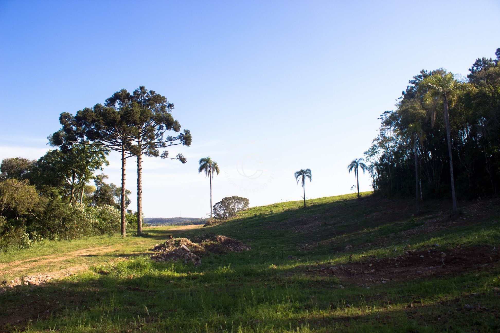 Terreno à venda, 556m² - Foto 9