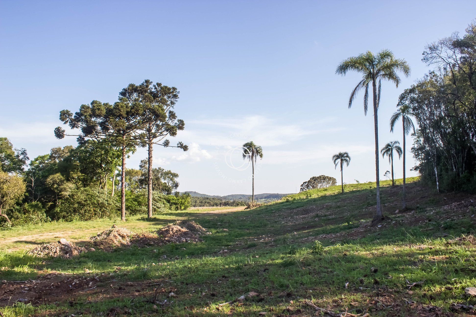 Terreno à venda, 556m² - Foto 2