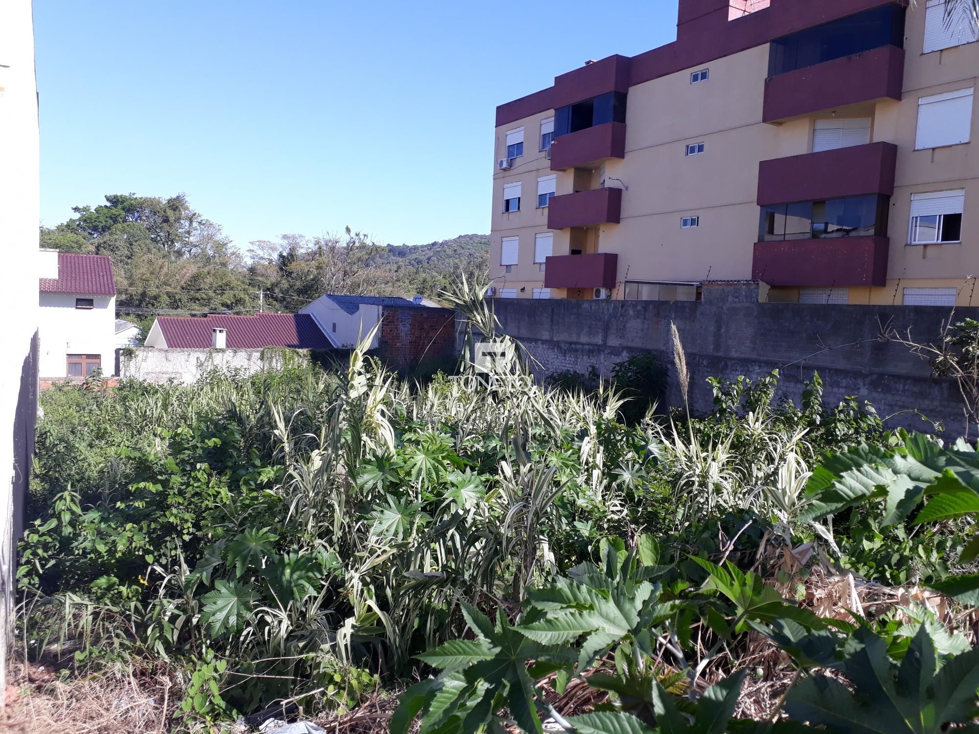 Terreno, 800 m² - Foto 5