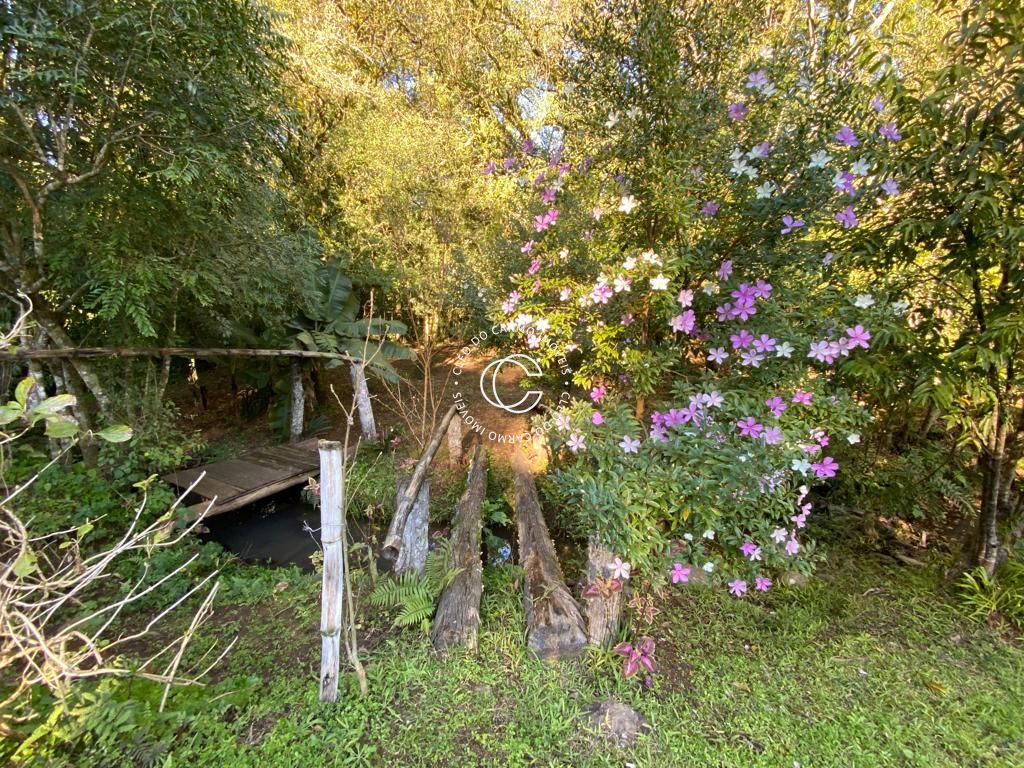 Fazenda à venda com 2 quartos, 20000m² - Foto 18