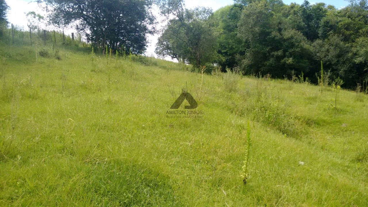 Fazenda à venda com 4 quartos, 30000m² - Foto 24