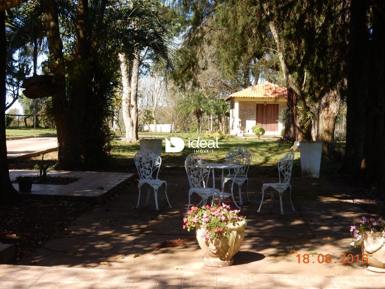 img6394849