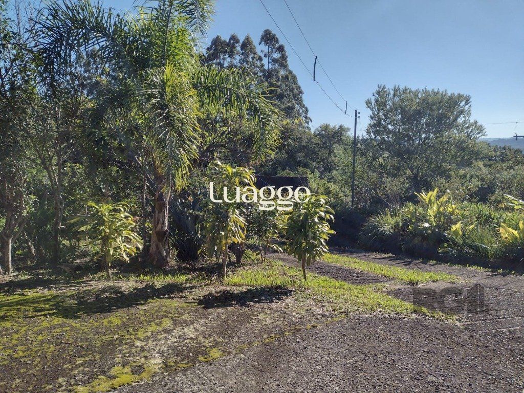 Sítio à venda com 1 quarto, 212m² - Foto 25