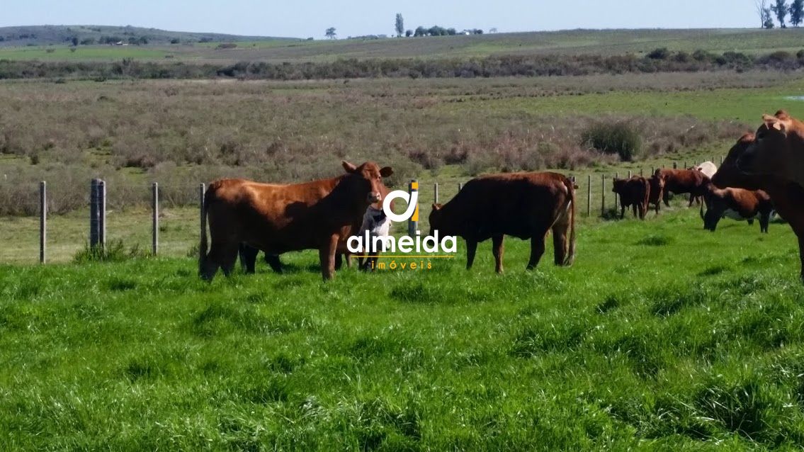 Loteamento e Condomínio, 1500 hectares - Foto 4