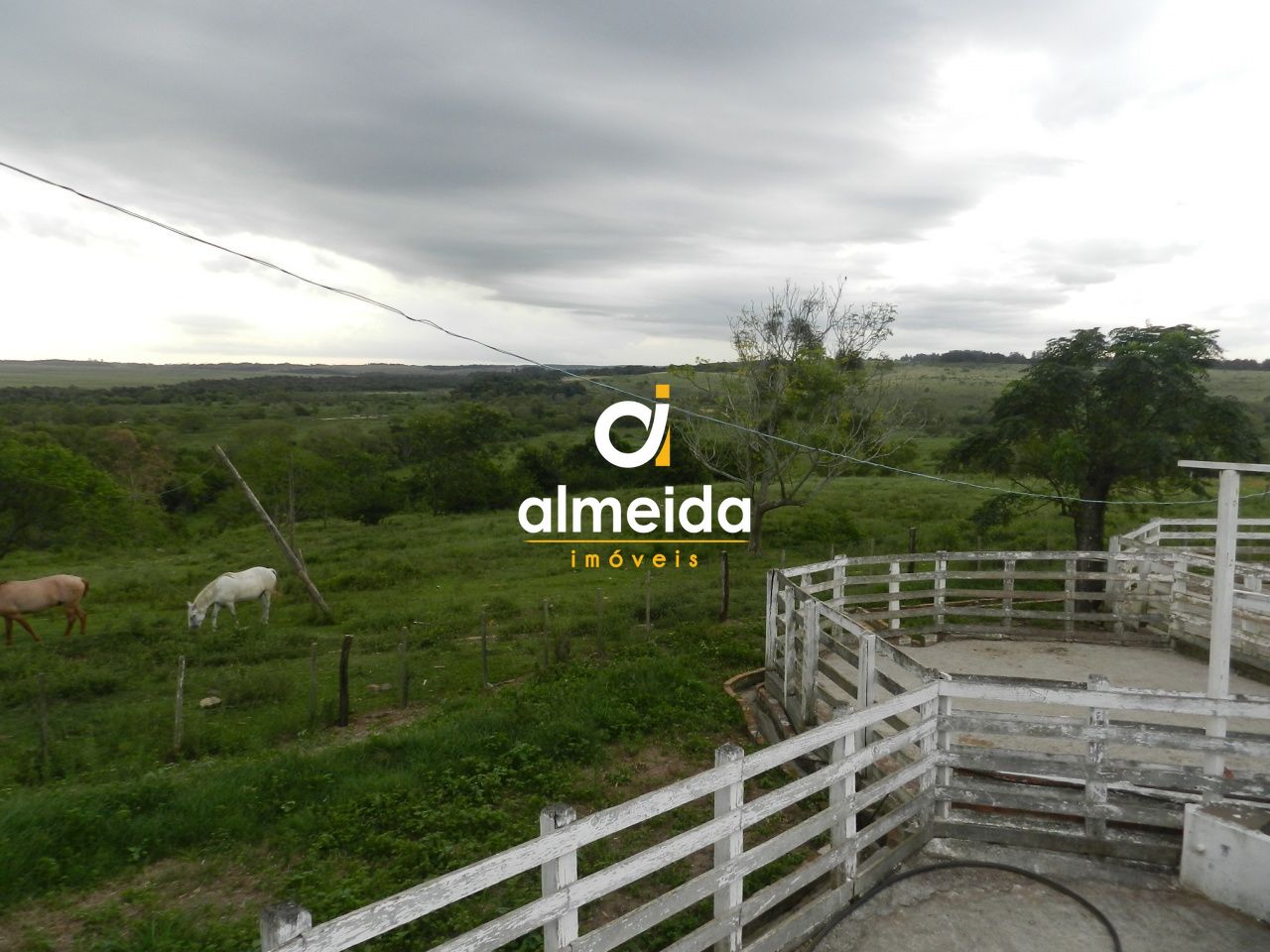 Prédio Inteiro, 140000 m² - Foto 42