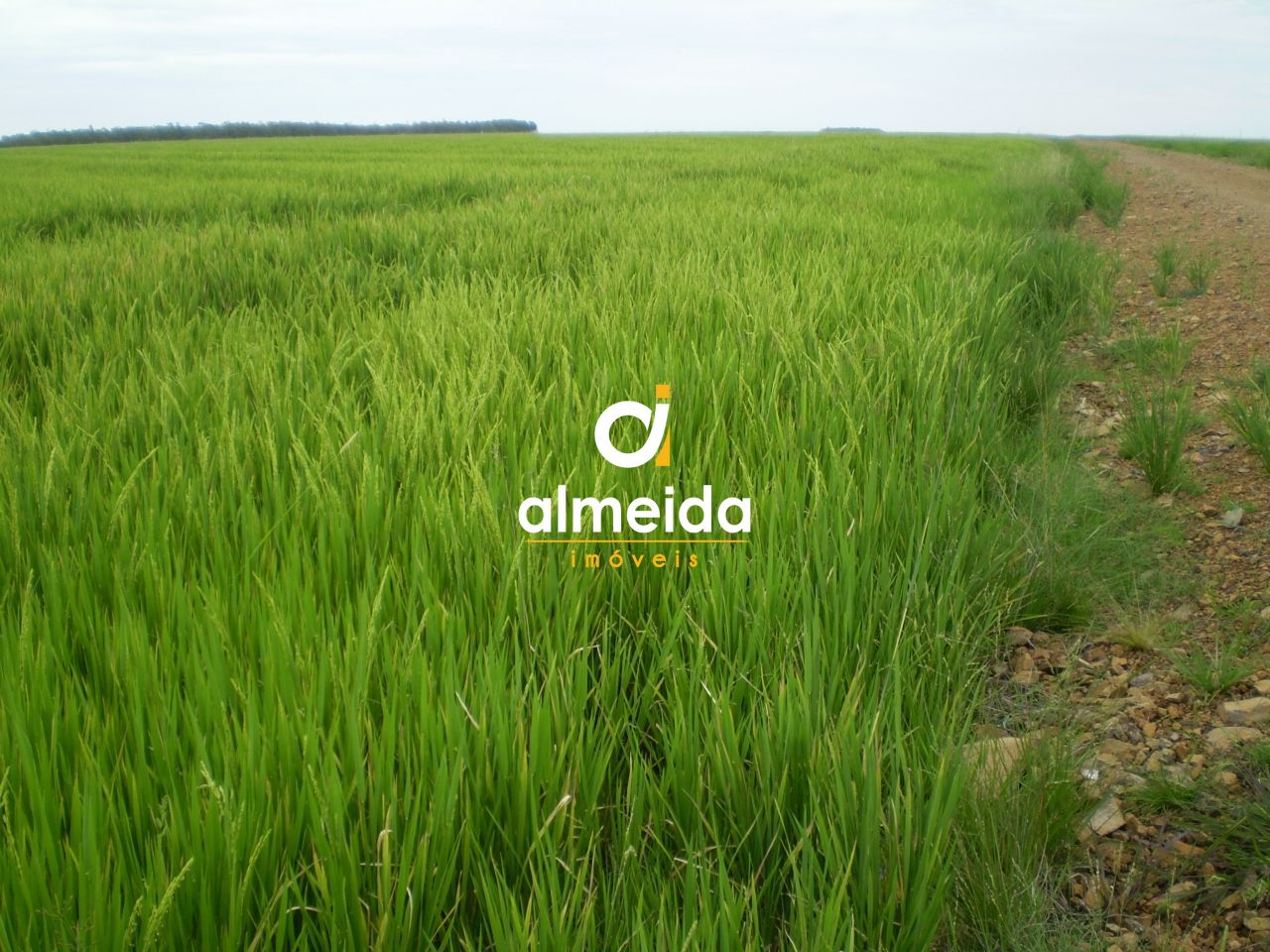 Loteamento e Condomínio, 2939 hectares - Foto 6