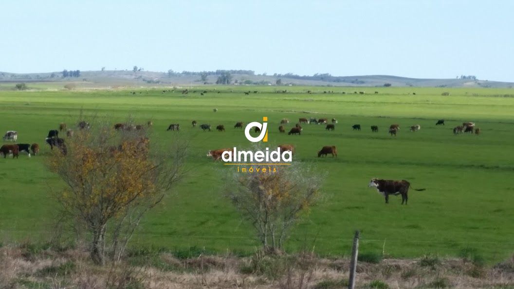 Loteamento e Condomínio, 1500 hectares - Foto 3