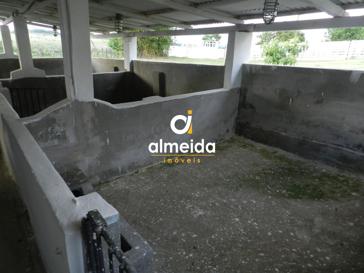 Prédio Inteiro, 140000 m² - Foto 4